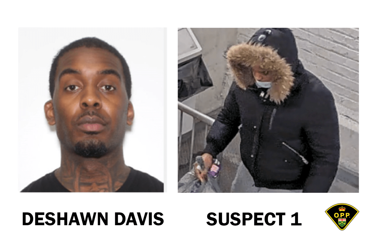 Police have issued an arrest warrant for one suspect and are seeking to identify another in connection with the kidnapping of Elnaz Hajtamiri.
