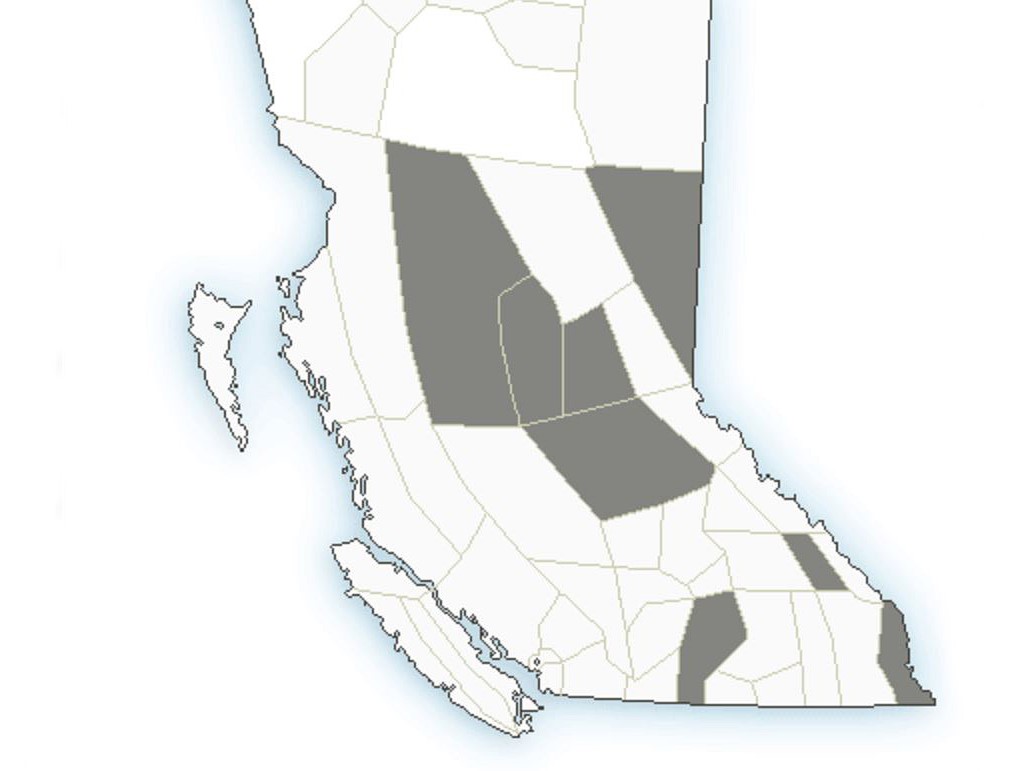 A map showing regions where dust advisories have been issued.