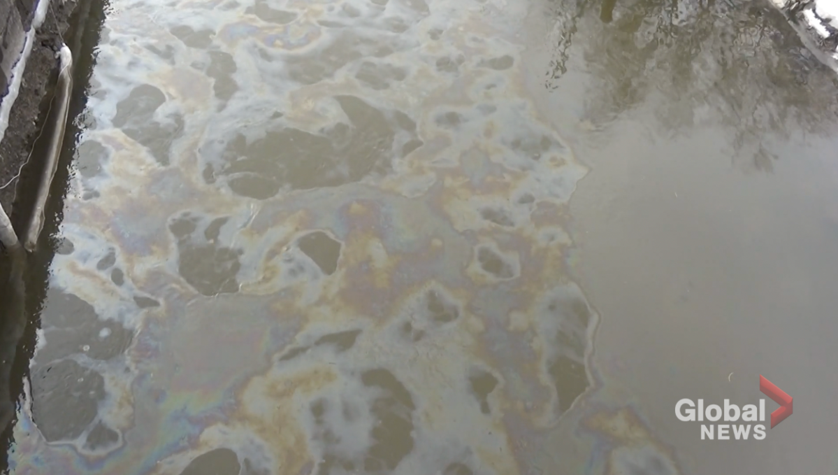 The oily sheen on Jackson Sheen flowing into Little Lake in Peterborough on March 17, 2023.