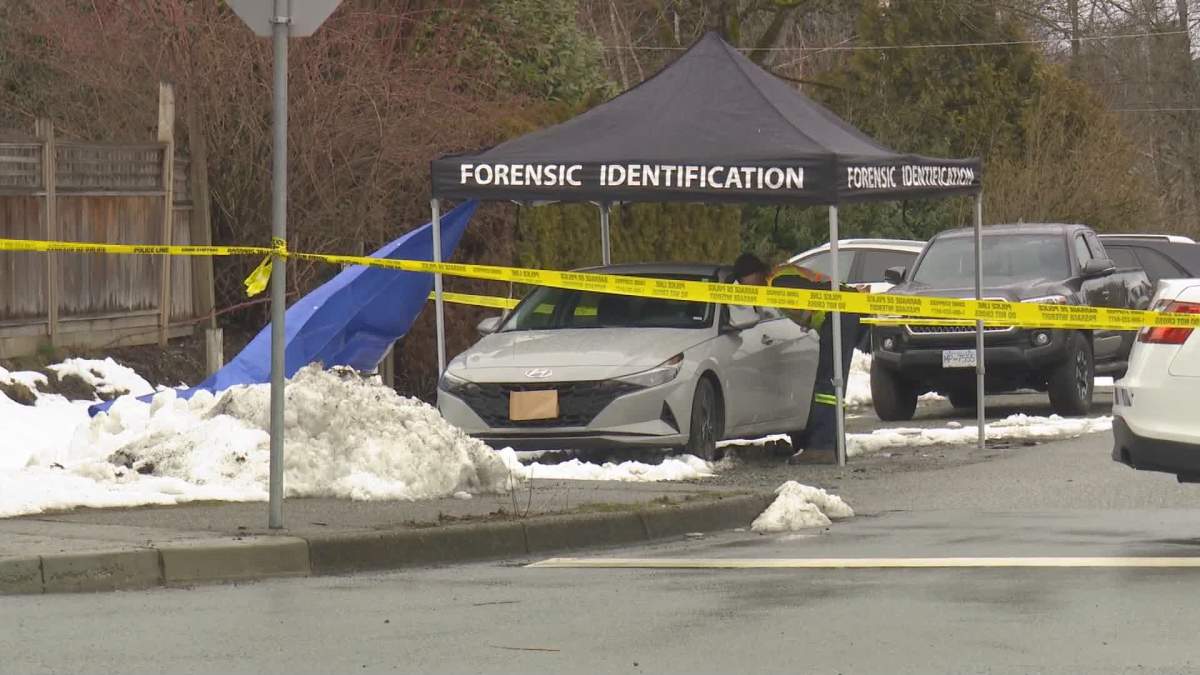 Meadow Ridge RCMP officers were seen at a secondary location, near Dewdney Truck.