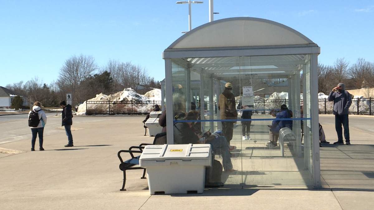 kingston bus shelter where a violent assault took place
