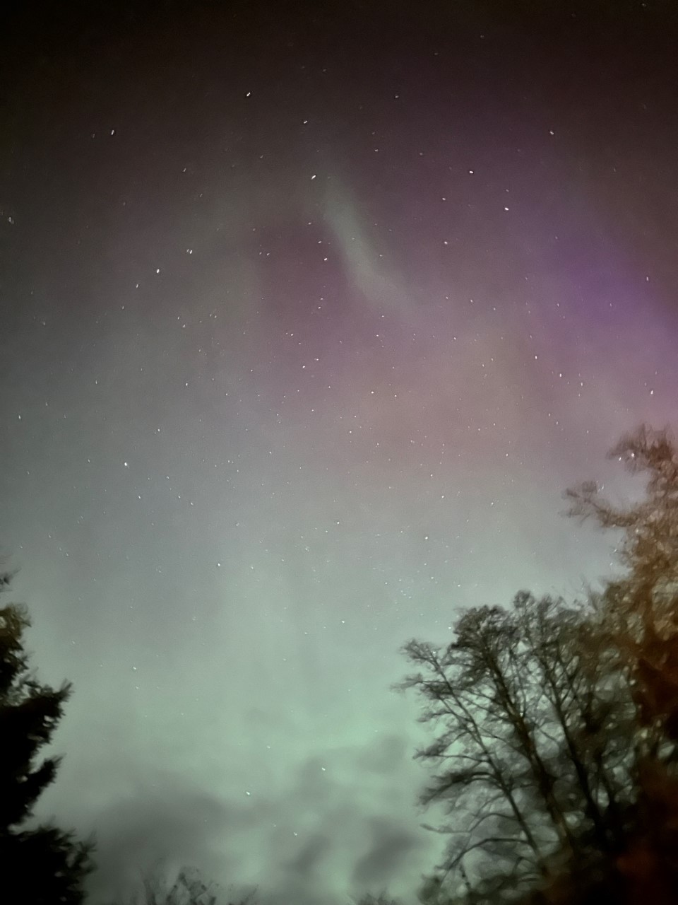 The geomagnetic storm seen from Haida Gwaii