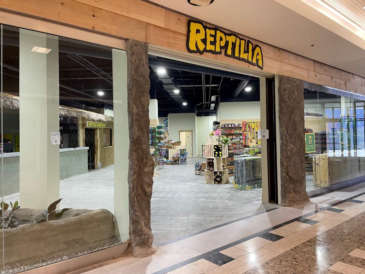 Bylaw complaints filed by animal welfare group about London, Ont. reptile zoo - image