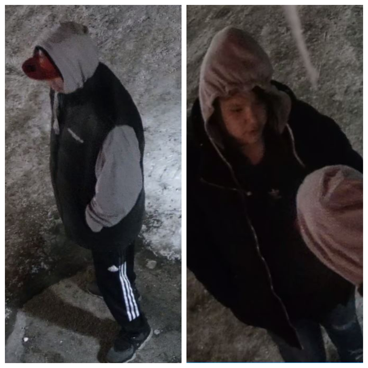 Thompson RCMP seek more information about these two people.