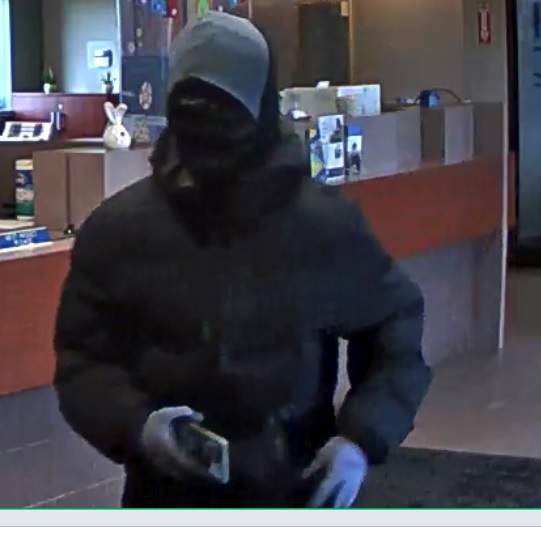 OPP seek public assistance with Arkona, Ont. armed robbery - image
