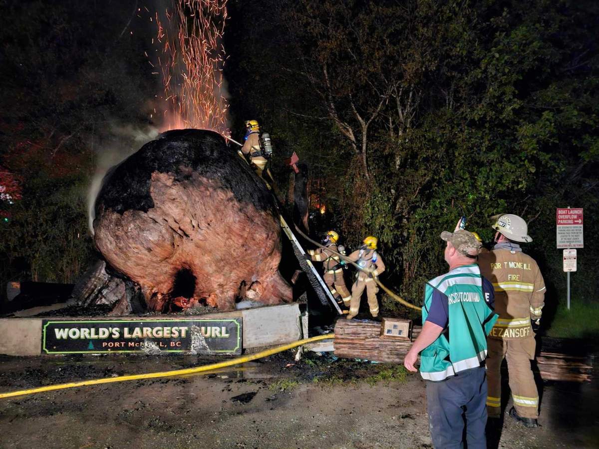 The burl was badly damaged in the fire that police believe was set deliberately.