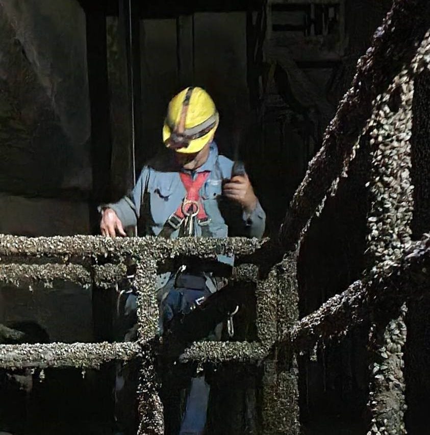 Zebra mussels infestation at a Manitoba Hydro generating station.