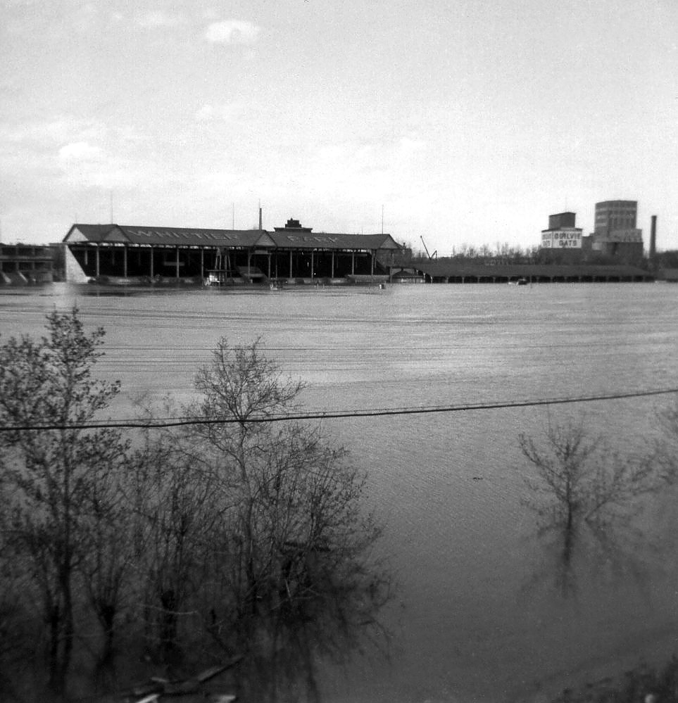 The flood of 1950 sealed the fate of the Whittier Park race track, with flood waters causing severe damage to the grandstand.