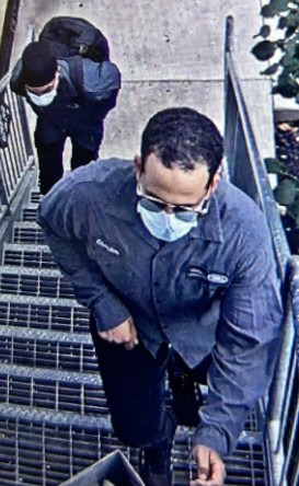 Police are seeking to identify three suspects wanted in connection with vehicle thefts in Toronto.