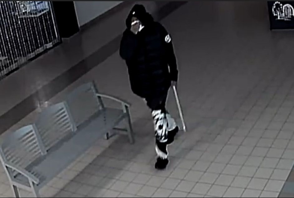 Photo of suspect.