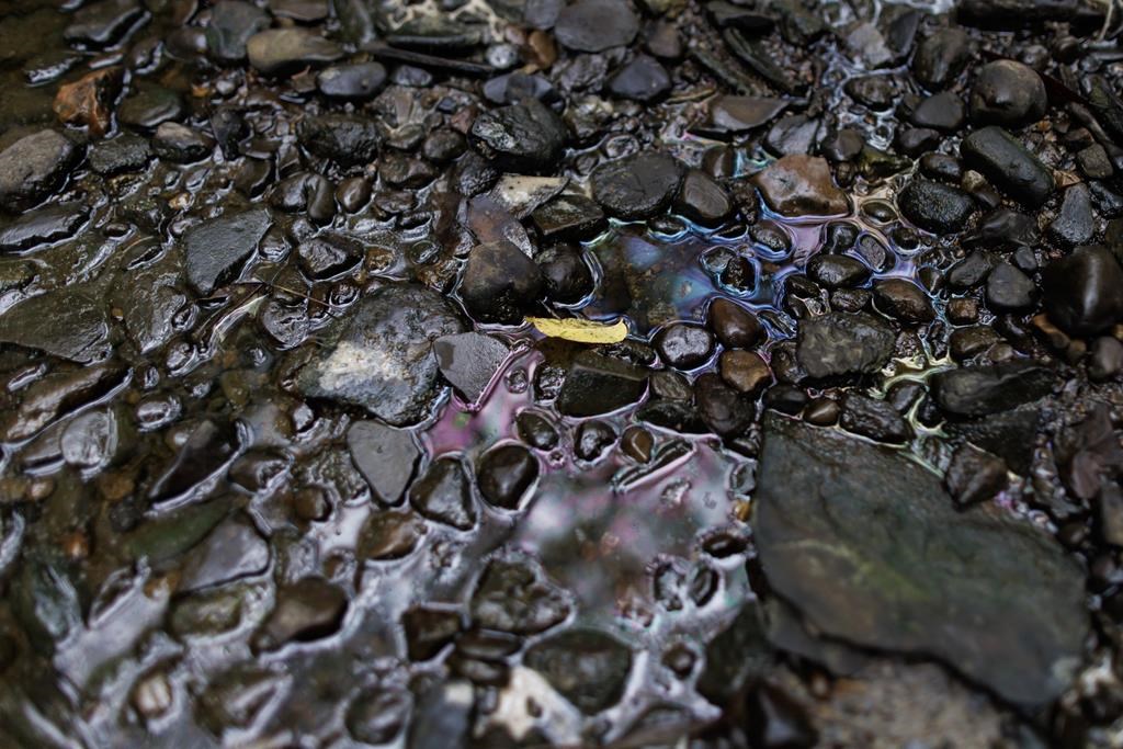 Chemicals shimmer on the creek bed at Mimico Creek in Toronto on Tuesday, Aug. 15, 2023. THE CANADIAN PRESS/Cole Burston.