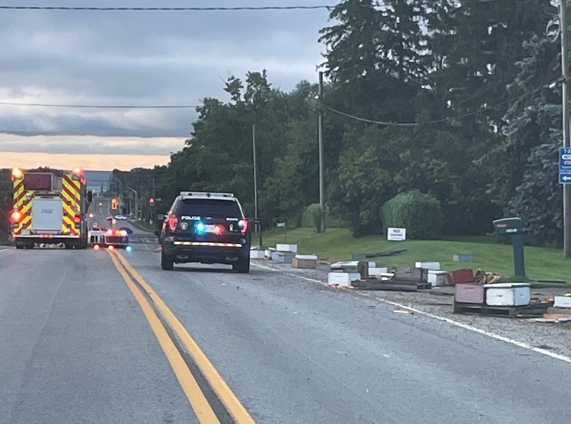 A large load of bees have fallen off a truck in Burlington on Aug. 30, 2023.