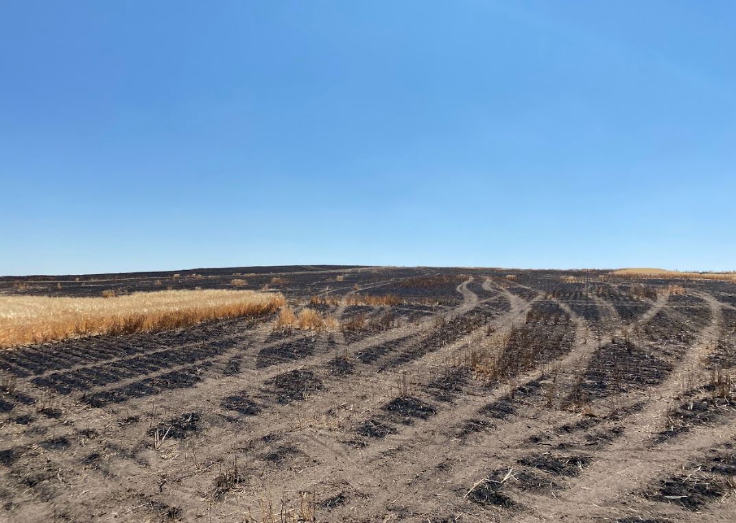 A large field, left black and charred, from the destructive grass fire.