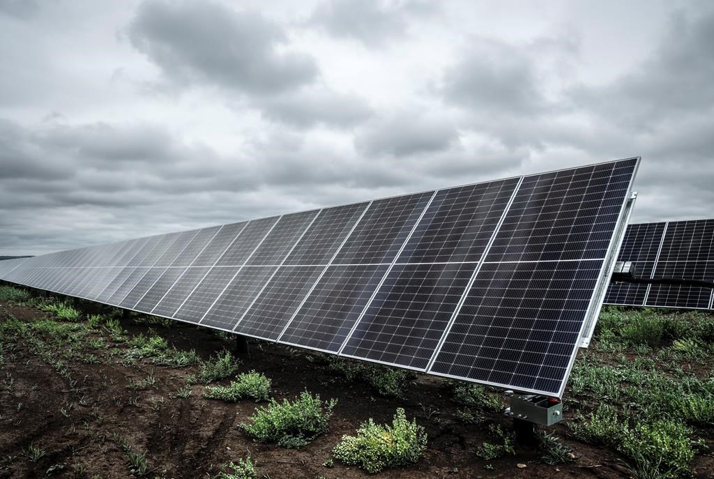 A solar panel array will be built in Saskatoon with it expected to run by the end of 2023. THE CANADIAN PRESS/Jeff McIntosh.