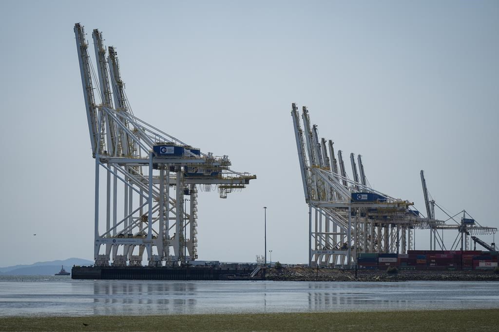 Gantry cranes used to load and unload cargo containers from ships sit idle at Global Container Terminals at Roberts Bank's existing Deltaport facility, in Delta, B.C., Friday, July 7, 2023.