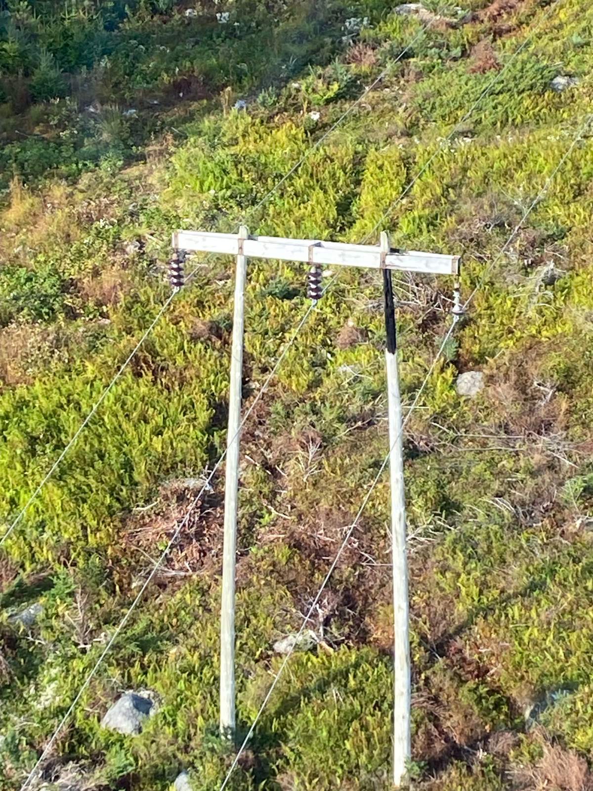 A burnt power pole near Chester, N.S. caused damage that prompted an emergency outage Friday