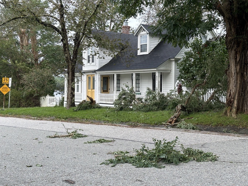 Downed trees rest in the front yard of a property in Shelburne, N.S., on Sunday morning.