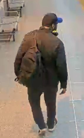 Man wanted after TTC constable assaulted at Spadina Station: police - image
