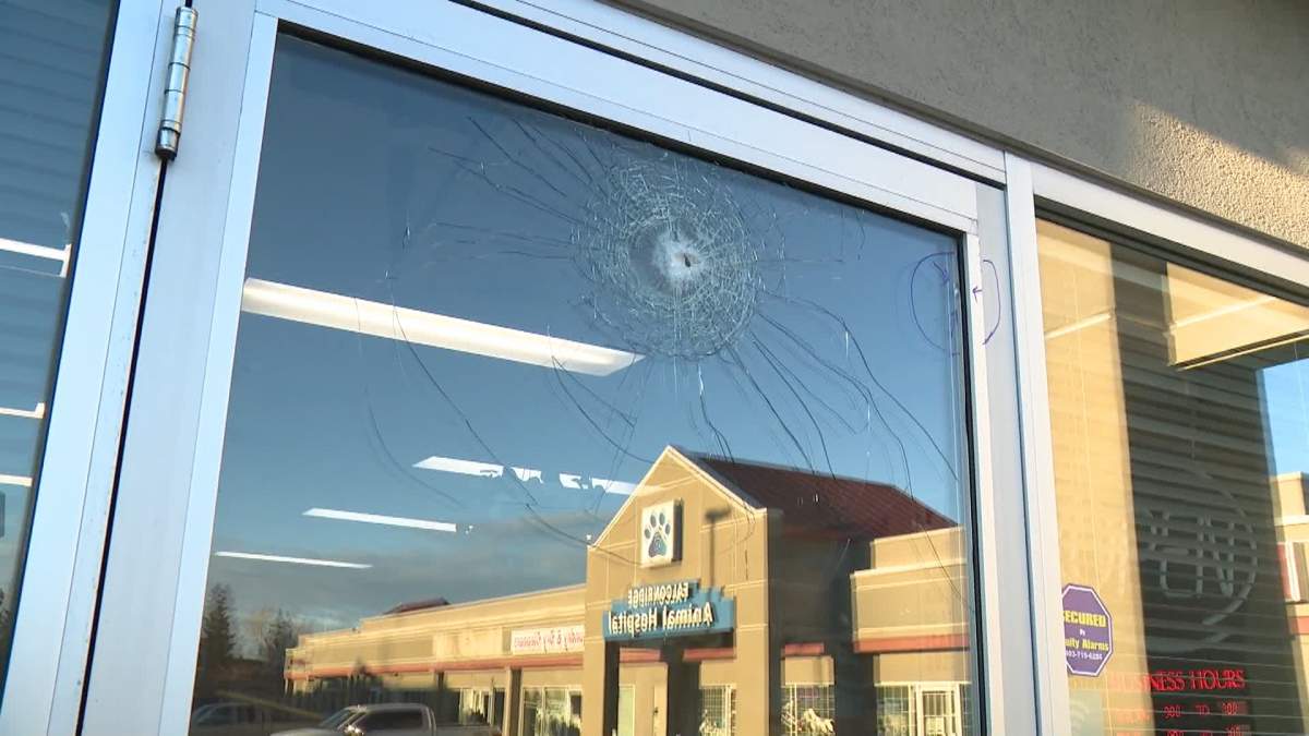 A bullet was fired into the door of a barber shop in the McKnight Village Shopping Centre when gunfire was exchanged between police and a suspect during an attempted arrest on Oct. 18.