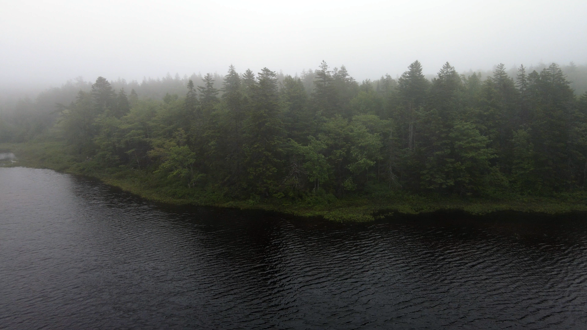 One of the parcels of land Whiley hopes the province will sell to the Upper Hammonds Plains Community Land Trust fronts onto Little Pockwock Lake. Today, there is no public access to the lake.