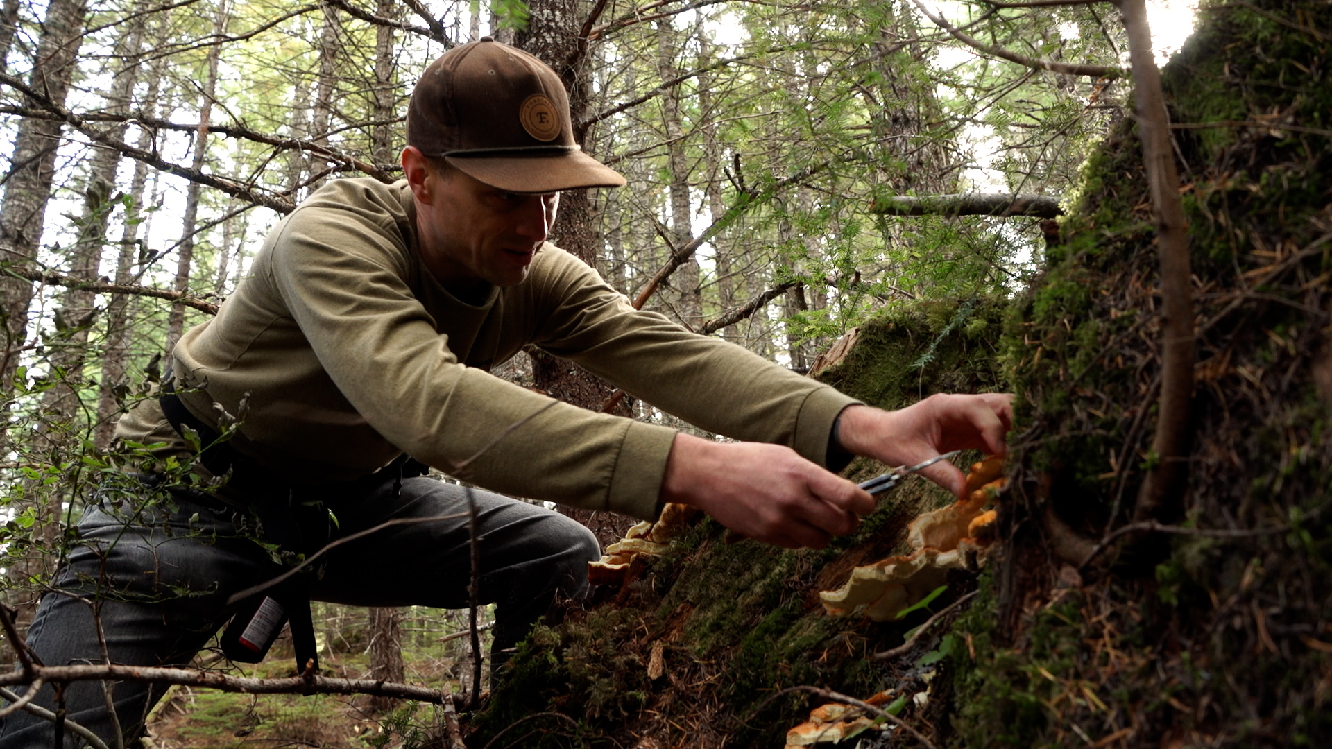 Stumbling upon a Chicken of the Woods mushroom while foraging in BC’s lower mainland with Whistler Harvest’s Paul Cain.