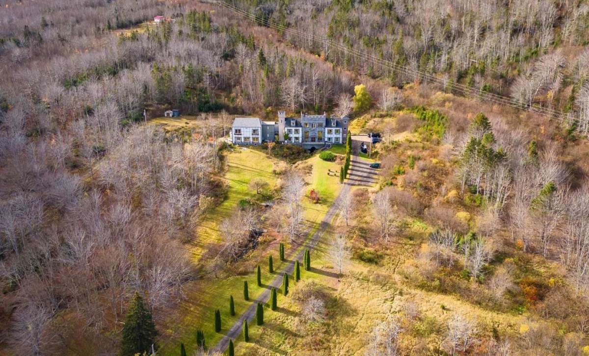 An aerial shot of the long driveway that leads to the two-storey castle.