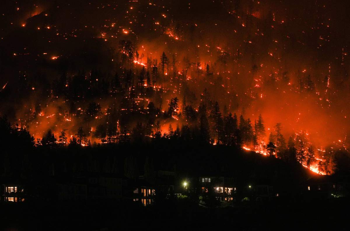 One year later, recovery in scorched path of McDougall Creek wildfire painfully slow - image