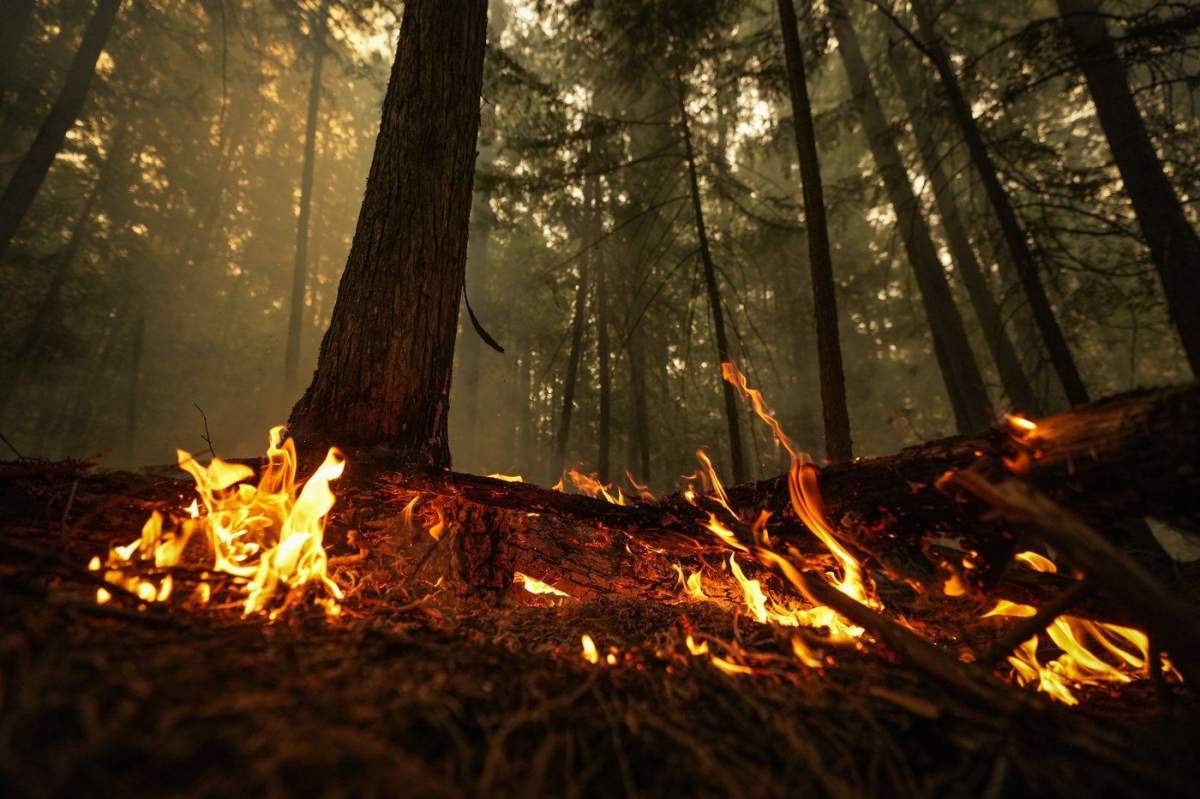  A tax credit for volunteer firefighters currently stands at $3,000. A hot spot from the Lower East Adams Lake wildfire burns in Scotch Creek, B.C., on Sunday, August 20, 2023. 