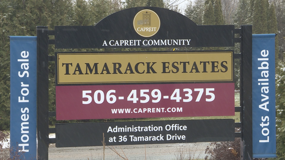 A sign that says Tamarack Estates, above a phone number and email. At the top of the sign it says, "A CAPREIT community."