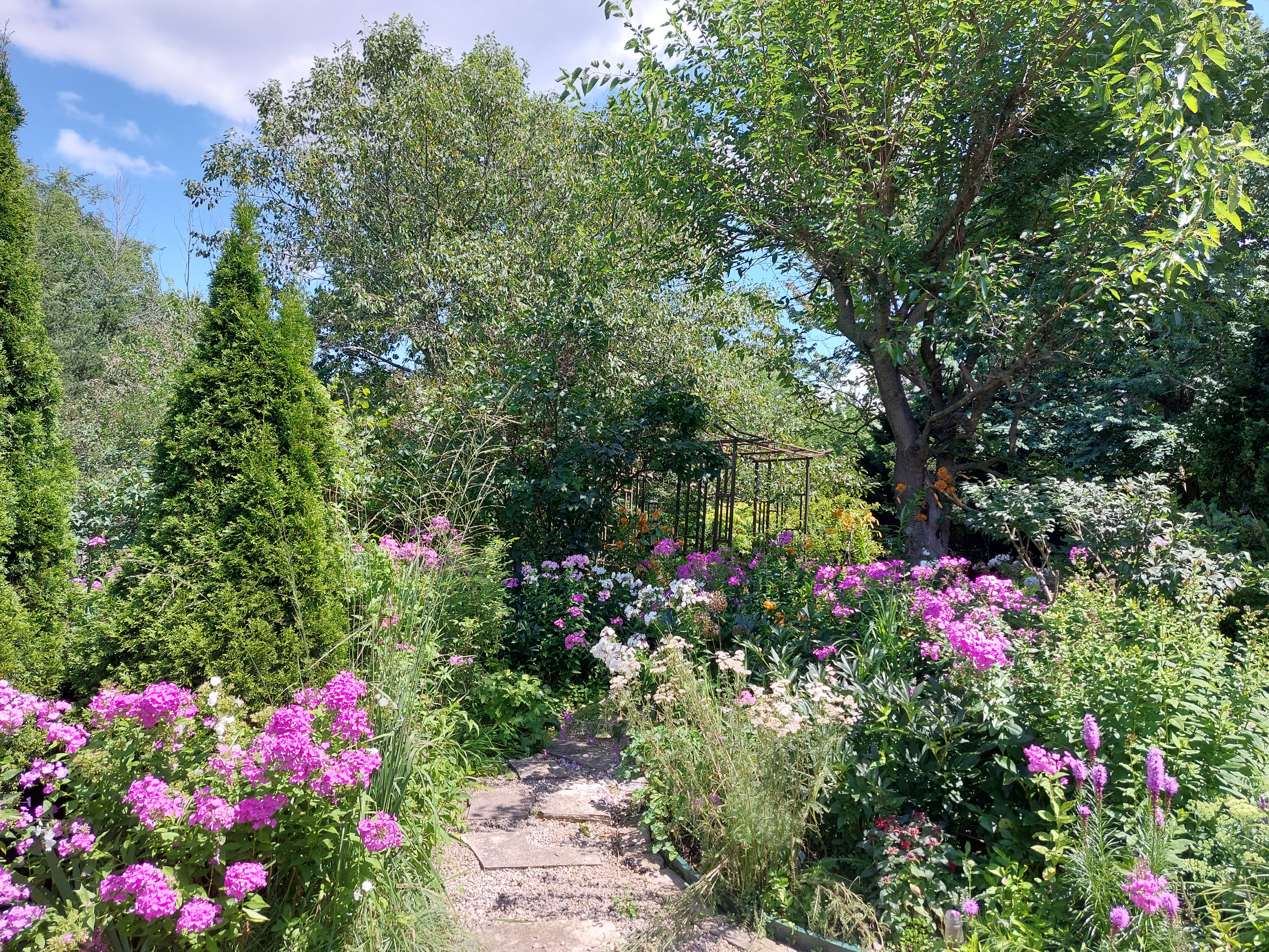 A garden.