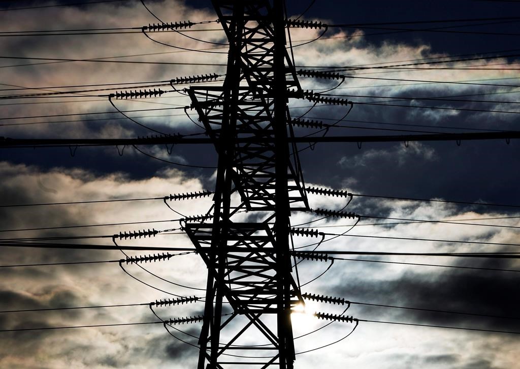 Hydro poles can be seen in this file photo. THE CANADIAN PRESS/Nathan Denette.