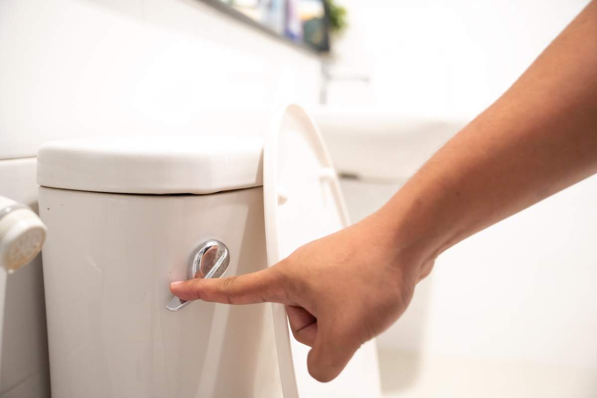 A hand flushing a toilet.