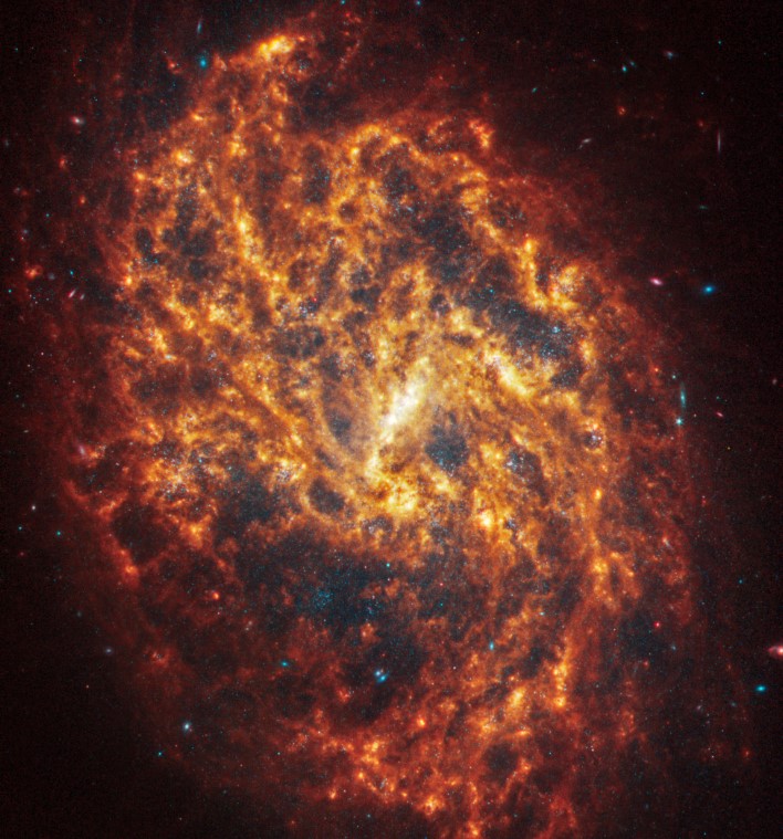 Spiral galaxy NGC 1087 is 80 million light-years away in the constellation Cetus.