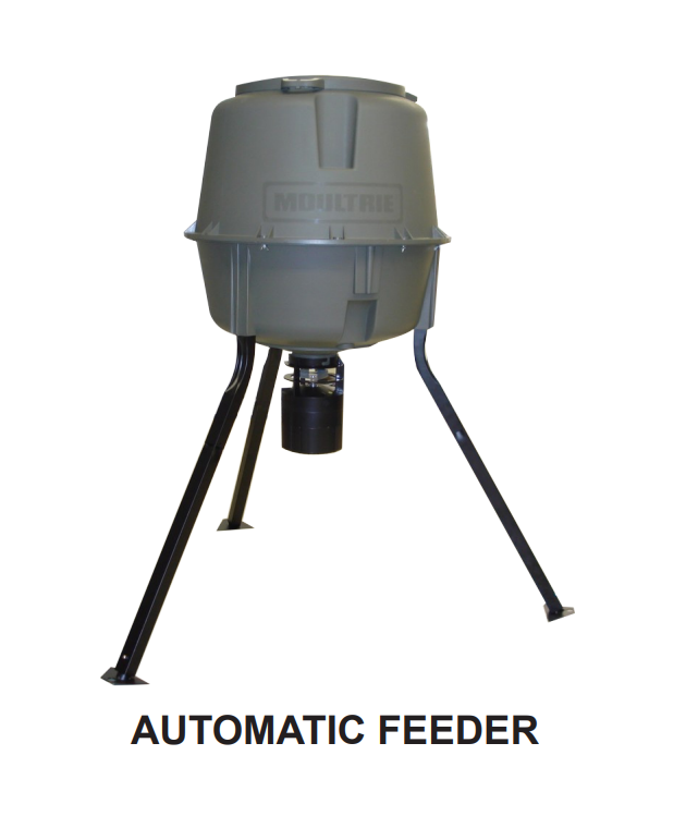 pigeon feeder