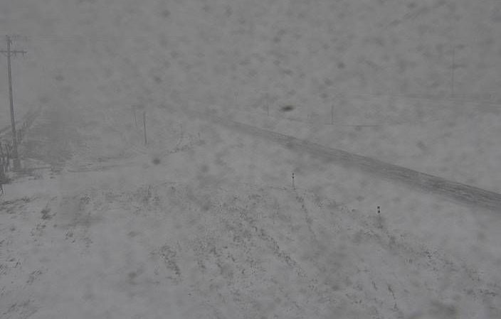 Whiteout conditions pictured on Alberta 511 traffic cameras near Hwy 22 at Hwy 1, west of Calgary.
