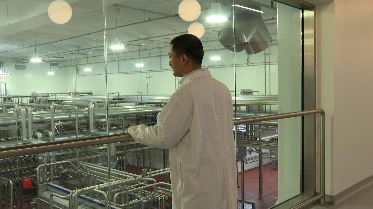 Chenggang Hang, general manager of Canada Royal Milk in Kingston, says he expects the company’s infant formula to be available to the public in summer 2024.