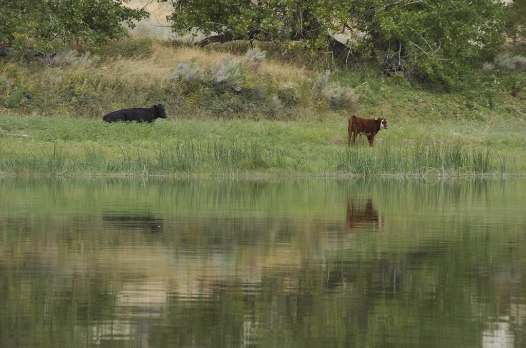 Ottawa and the Manitoba government supplying $500,000 towards measures protecting livestock in the province.