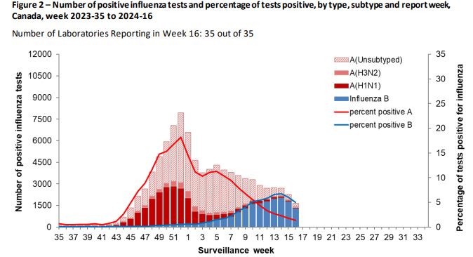 As flu season fades, spring and summer viruses emerge. What are they? - image