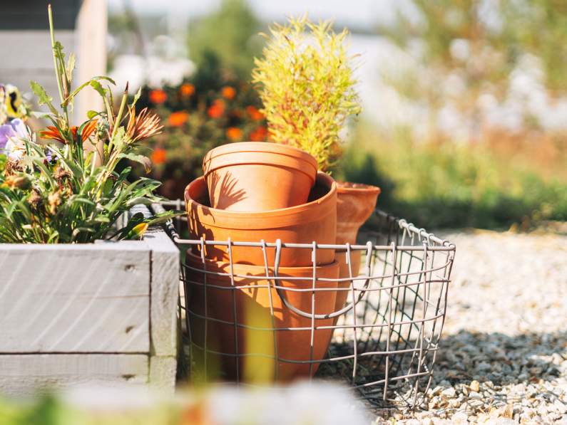 garden supplies