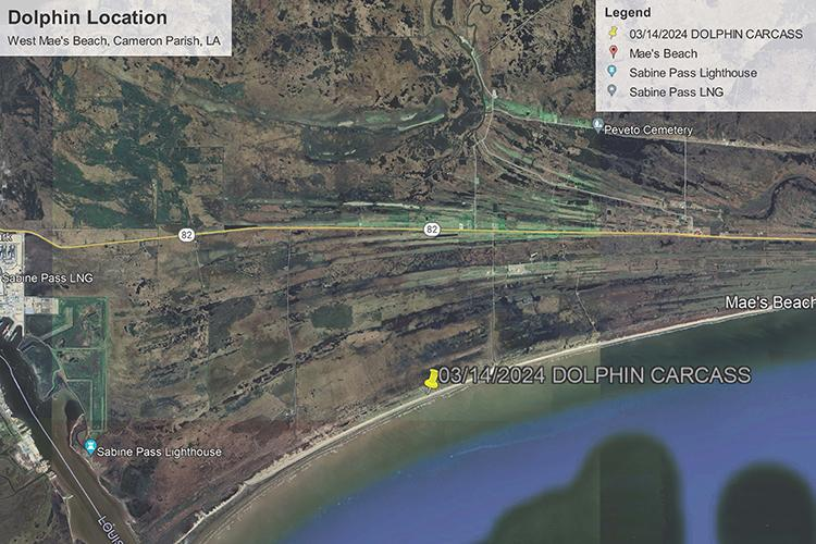 A geographical map, with a pin by the water noting 'dolphin carcass.'