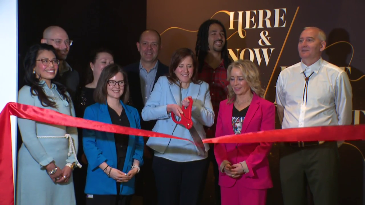 A new exhibit featuring Alberta artists opens at RAM.