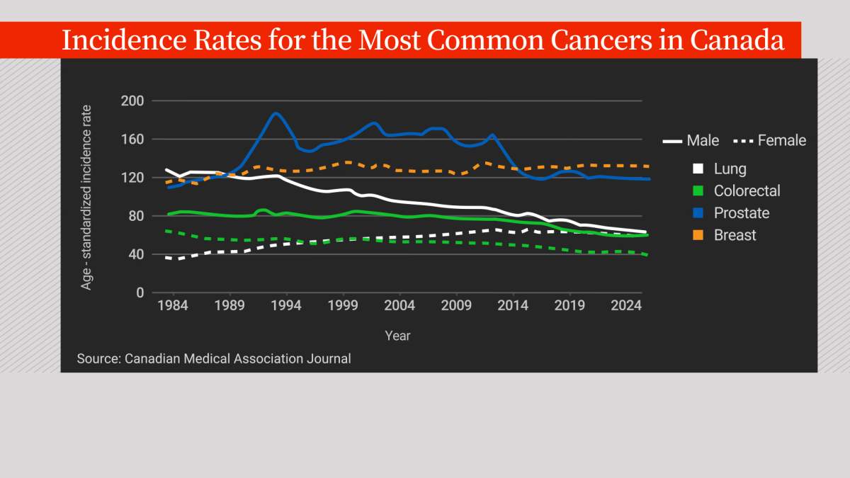 These forms of cancer are expected to grow in 2024. Here’s why - image