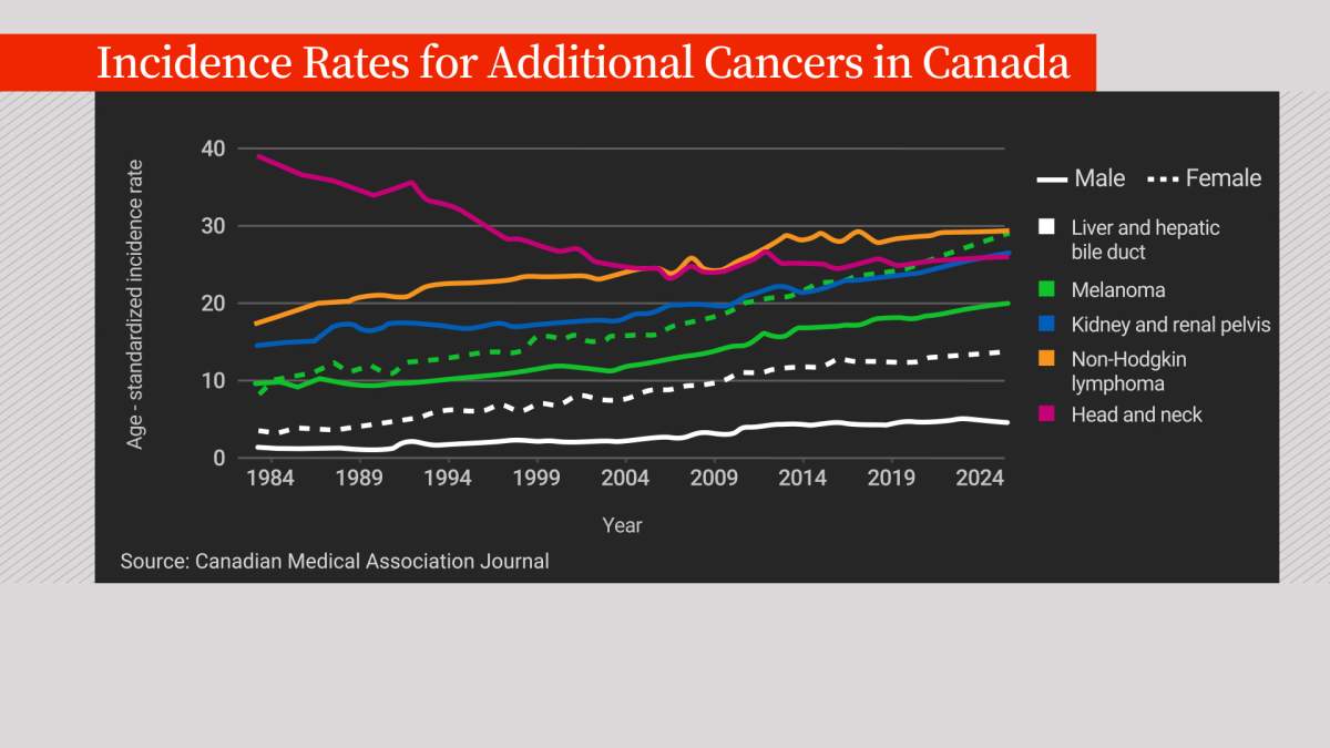 These forms of cancer are expected to grow in 2024. Here’s why - image