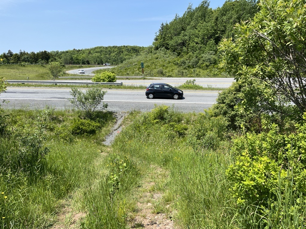 This path leads people from the Sackville Transit Terminal back to the Sackville Manor Mobile Home Park neighbourhood.