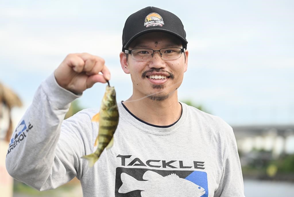 Fisherman Henry Leung holds up a perch after fishing it out of the Peel Basin in Montreal, Friday, July 12, 2024.
