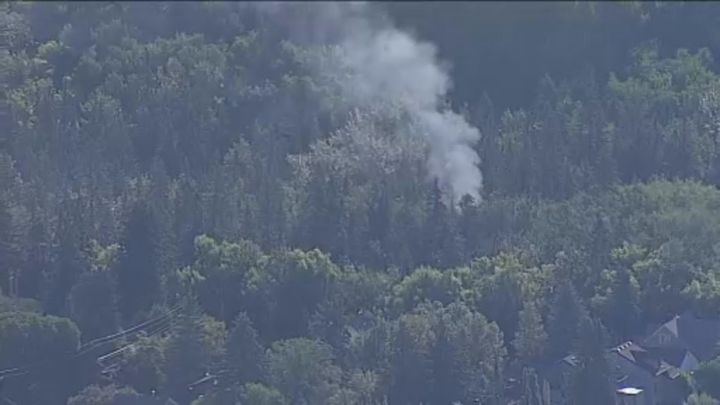 Edmonton firefighters and police officers were called to a fire that broke out at the Mill Creek Ravine on June 29, 2024.