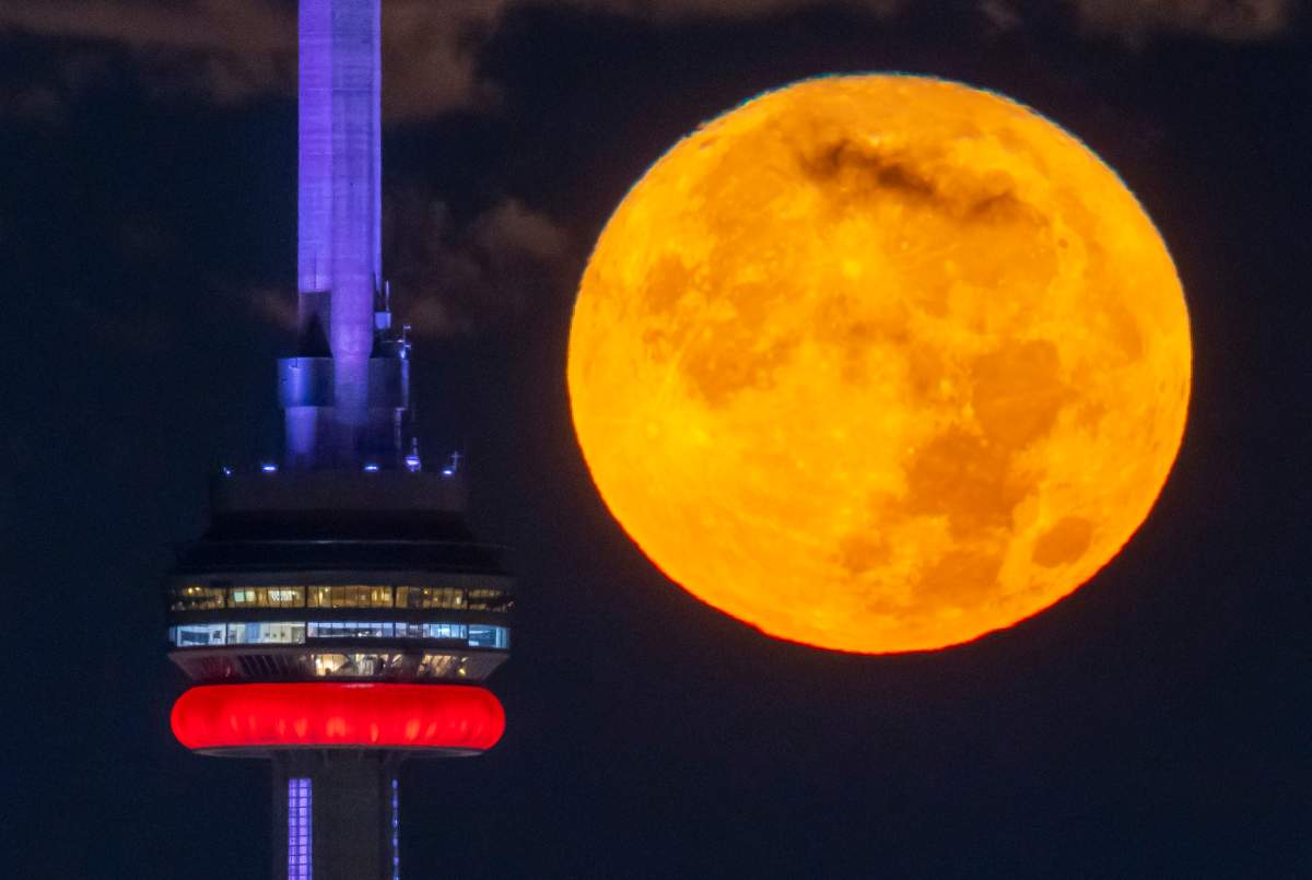 Super Blue Moon