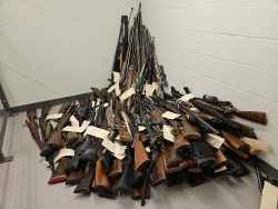 233 firearms seized from Guelph home, Waterloo police say - image