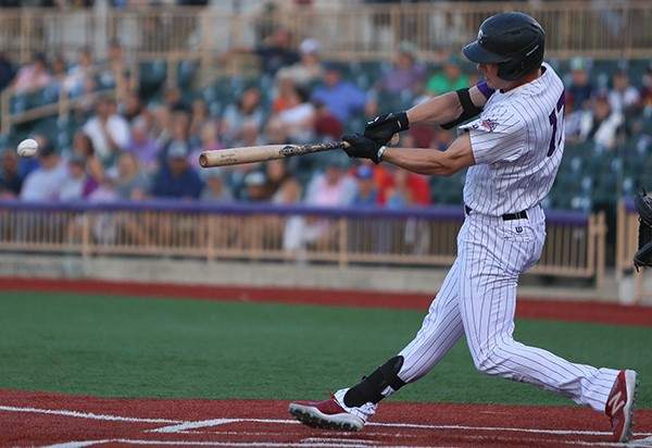 Jake Guenther hits for the Lake Erie Crushers.