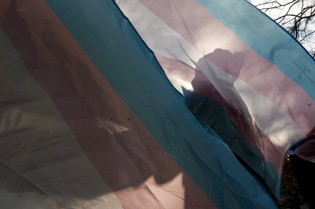 The government launched the committee in December 2023 after a number of gender-related incidents in schools.